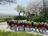 잎새반의 연희공원 숲체험..