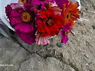 😻이사온집 에서 꽃을 감상했다