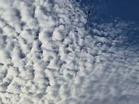 😻이사온집 에서 꽃을 감상했다