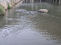 서대문구 세검정로1길 및 홍제동 산골고개