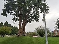 순천만 국가정원