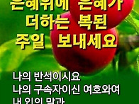 &#128262;햇살 가득한 ..