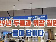 29년 두통과 위장질환, ..