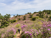 보성 일림산 산행-2-(20..