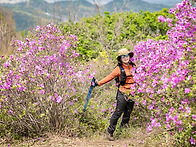 보성 일림산 산행-1-(20..
