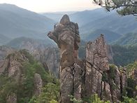 타조를 보시려거든 아프리..