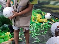 공룡시대 놀이~🦕