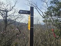 두타.청옥 고생들하셨습니..