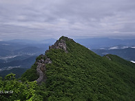 황거금기 종주(25'0525..