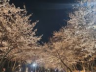 0407 거마산 인천대공원 ..