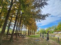 환절기 죽음들