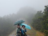 2026년 통영 수우도 섬산..