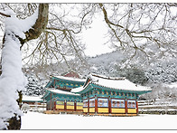 전남 장흥 보림사..