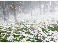 25년 거창 감악산에서....