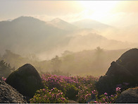 보성 초암산 25년.