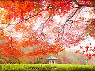 25년 고창 선운사.