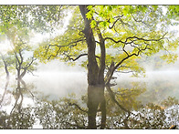 25년 주산지 둘.