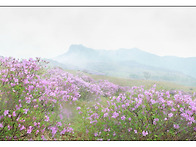 황매산 셋..