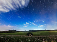 고창 학원농장의 가을..