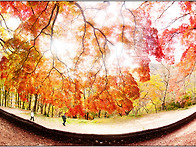 25년도 선운사 둘.