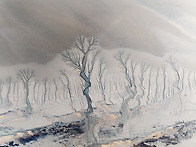 중국에서 ... 모래그림.