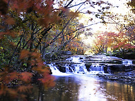 강원 진조리에 가을.