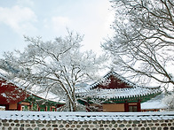 장흥 보림사 둘..