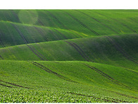 융단을 깔고~~~~~^^.