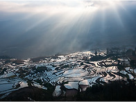 중국 원양제전 둘.