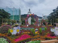 평화공원 국화축제 준비작..