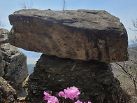 제 96차 정기산행(26년 ..