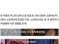 채소 안먹으면 장에서 생기..