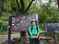 울진 금강 소나무 숲길