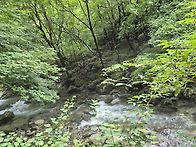 화악산(조무락골)