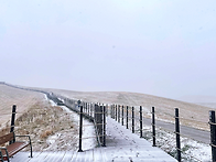 Re: ＜송년산행＞ 2025..