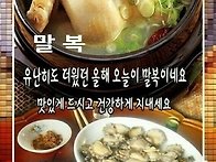 말복이라고 실컷