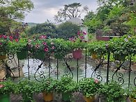 꽃구경 시켜드릴게요~