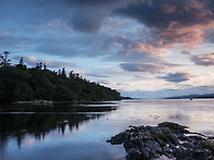 Fariborz Lachini B..