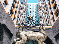 10. 15일 부동산정..