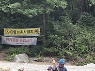 아침가리골계곡(김순복운영..