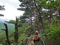 제108차 정기산행