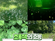 초록색의 효능