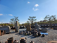 고스락 둘레길 장맛 힐링 ..