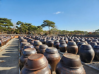 고스락 둘레길 장맛 힐링 ..