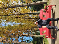 산림연구원 메타세..