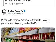 인공색소.