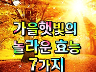 가을햇빛의 놀라운 효능 ..