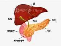 의사가 경고한 '췌장 망치..