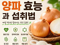 ﻿양파-하루 반..