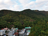 엘앤더슨병원에서 바라본 ..